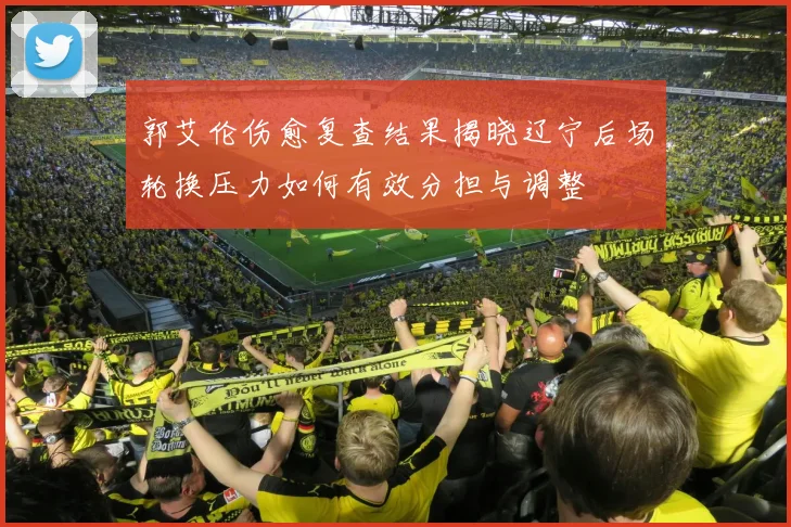 郭艾伦伤愈复查结果揭晓辽宁后场轮换压力如何有效分担与调整